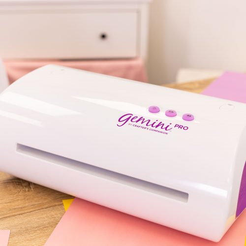 Meet the Gemini Pro - Our Not So Little Secret!