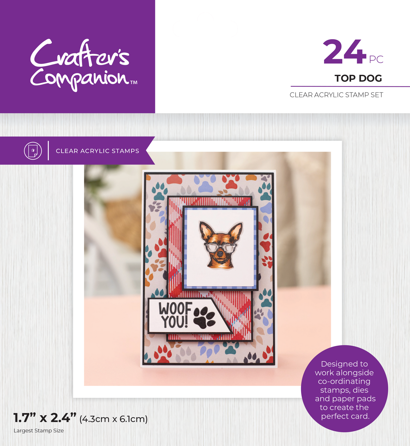 Crafter's Companion Pets Rule Clear Acrylic Stamps - Top Dog