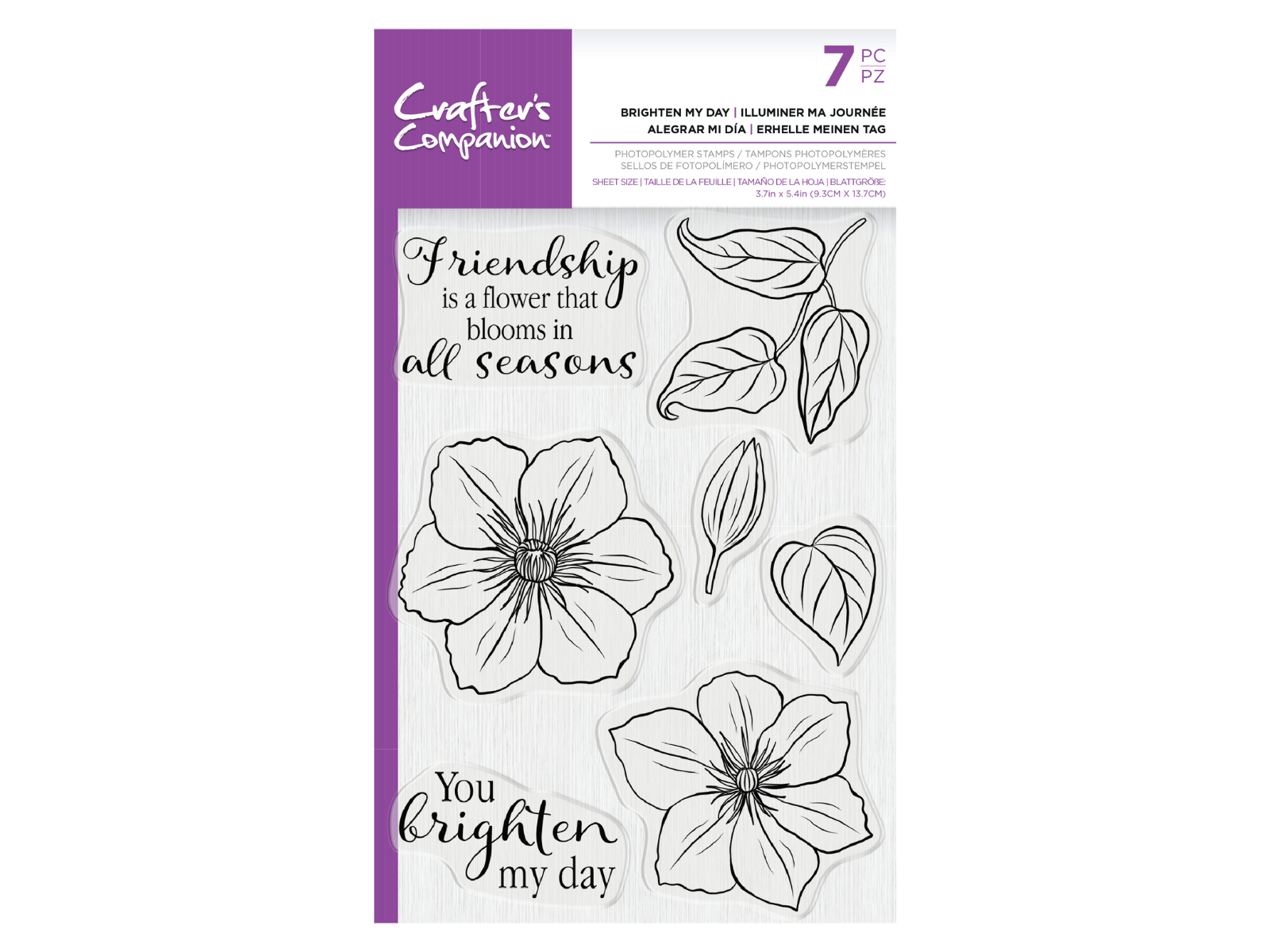 Crafter's Companion - Photopolymer Stamp - Brighten My Day