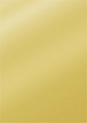 Crafter's Companion Centura Pearl Metallic Card Pack - Precious Golds (A5)