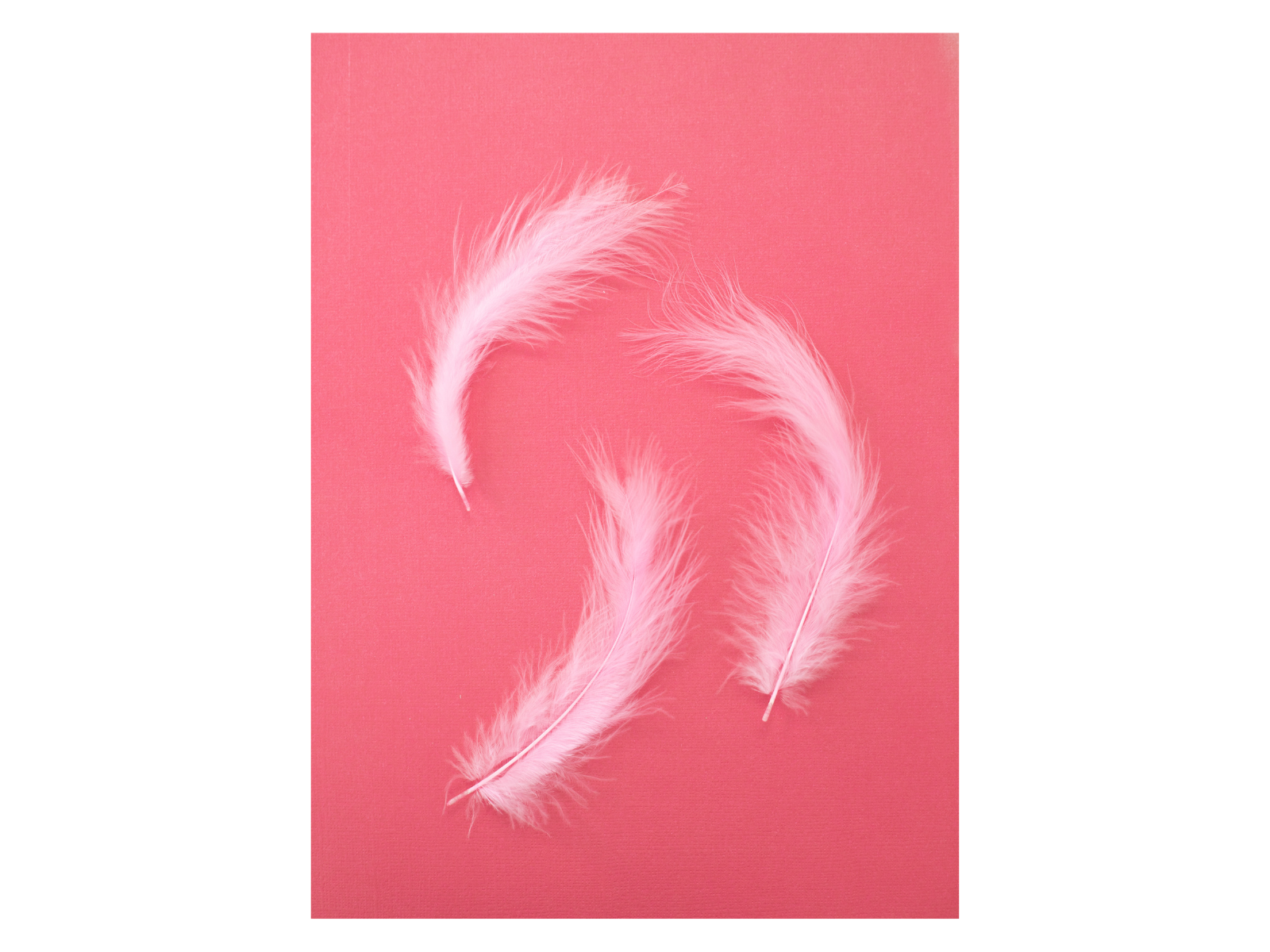 Flamazing Flamingos - Feathers (20PC)