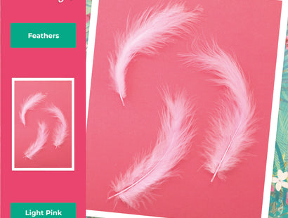 Flamazing Flamingos - Feathers (20PC)