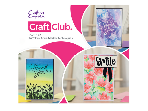 Crafter's Companion Monthly Craft Club - Aqua Techniques