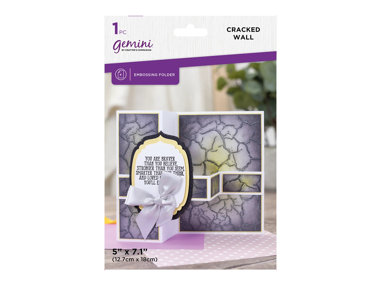 Gemini 5 x 7” 2D Textured Embossing Folder - Cracked Wall