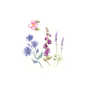 Sheena Douglass Watercolour Fusion Photopolymer Stamp - Wildflower Trio