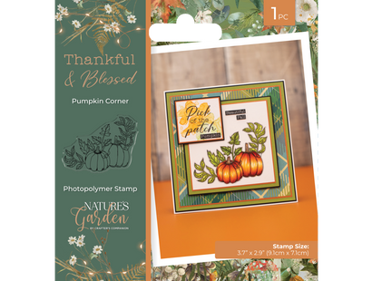 Nature's Garden - Thankful & Blessed Photopolymer Stamp - Pumpkin Corner