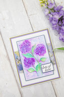 Nature's Garden - Hydrangea - Duet Inkpads