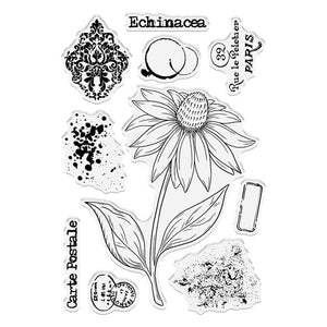 Crafter's Companion - 4 x 6" Photopolymer Stamp with Mask - Exquisite Echinacea