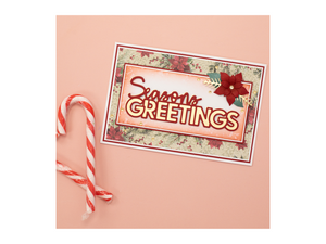 Crafter's Companion Metal Die Expression - Seasons Greetings