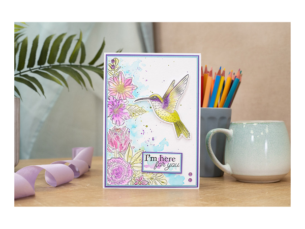 Nature's Garden Hummingbird Stamp and Die – Sweet Hummingbird