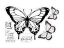 Sheena Douglass - Bold Butterflies - Stamp and Die - Red Admiral Butterfly