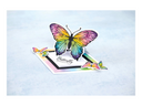 Sheena Douglass - Bold Butterflies - Stamp and Die - Swallowtail Butterfly